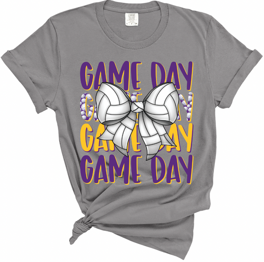 Volleyball Game Day